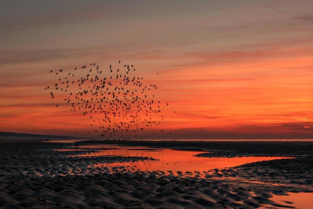 Hoekje Up Katwijk aan Zee Exteriör bild