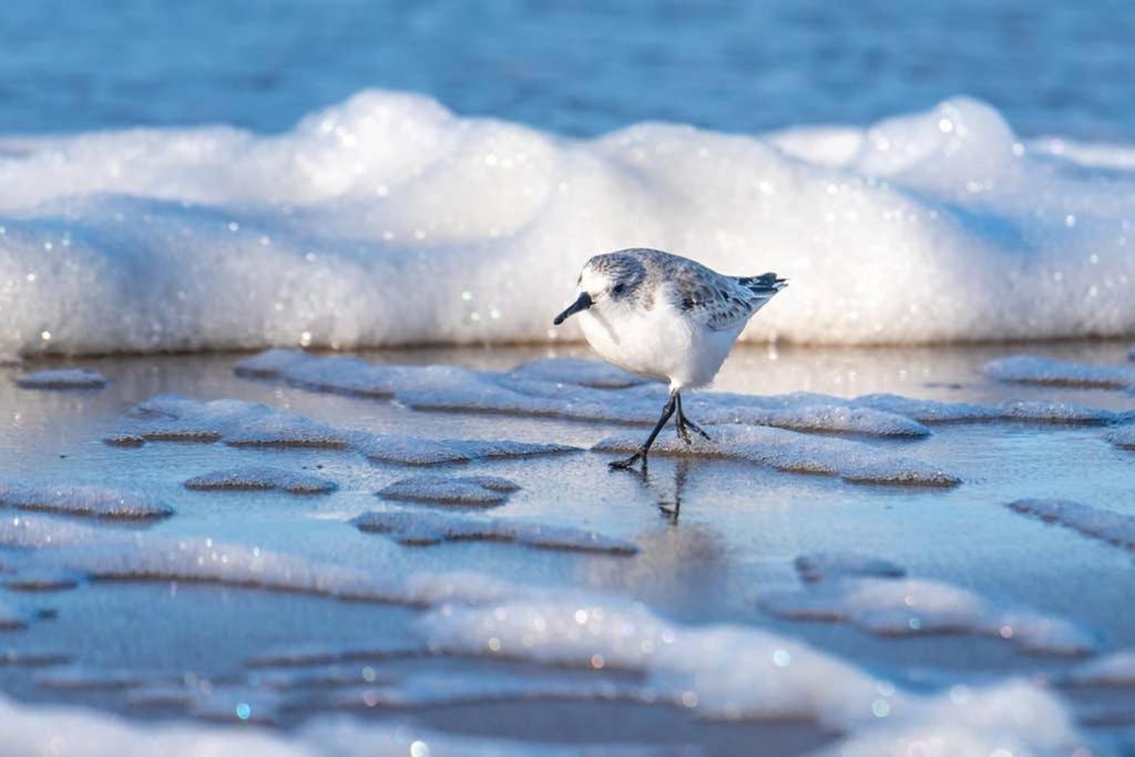 Hoekje Up Katwijk aan Zee Exteriör bild